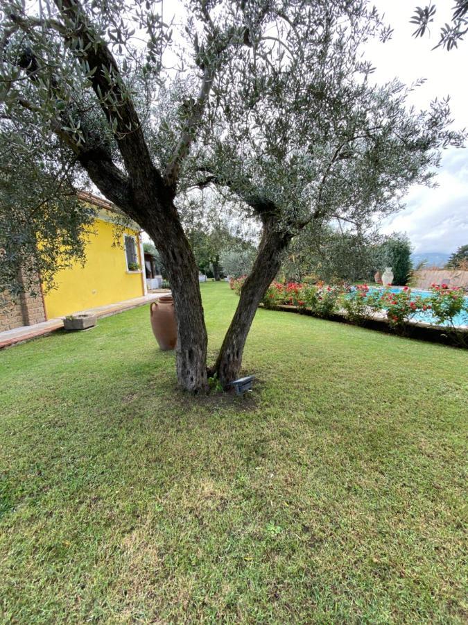 Villa "Casa Al Chiazzullo" Mirabella Eclano Екстериор снимка